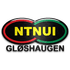 NTNUI