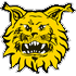 Ilves II