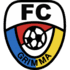 FC Grimma