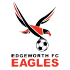 Edgeworth Eagles