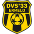 DVS 33