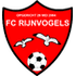 Rijnvogels