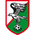 Sokol Kleczew