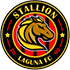 Stallion Laguna FC