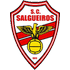 Salgueiros